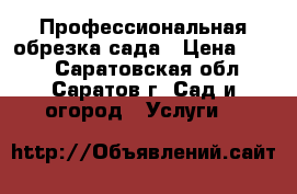 Профессиональная обрезка сада › Цена ­ 250 - Саратовская обл., Саратов г. Сад и огород » Услуги   